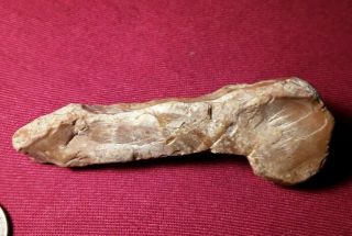 Native American Phallic Penis Shaped Stone Drill Boring Tool Carved Art Effigy
