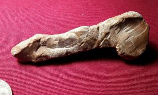 Native American Phallic Penis Shaped Stone Drill Boring Tool Carved Art Effigy 2