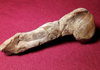 Native American Phallic Penis Shaped Stone Drill Boring Tool Carved Art Effigy 7