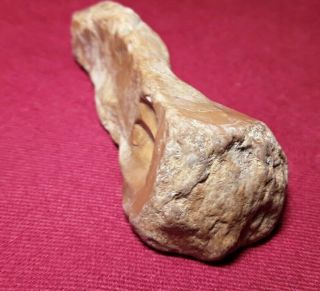 Native American Phallic Penis Shaped Stone Drill Boring Tool Carved Art Effigy 8