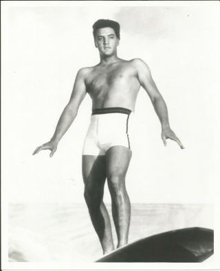 Elvis Presley 1961 Blue Hawaii Movie Promo Photo A Bare Chested Elvis Surfing