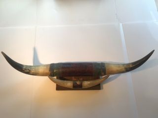 Bull Horns 28 " Vintage Mounted Bull Cow Texas Longhorn Small Horns 13 “