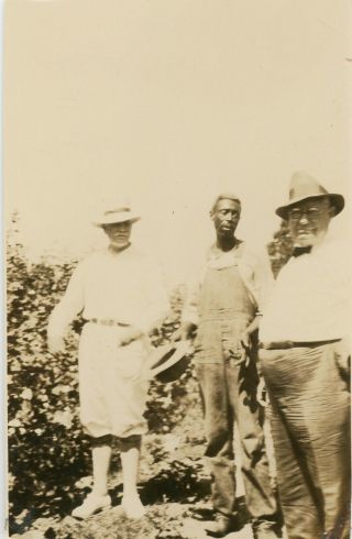 Vintage B/w Photo - Black Americana - Field Hand Talking With Two White Males