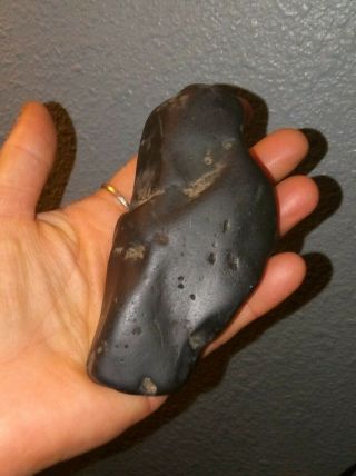 Paleo Spirit Bird Effigy Native American Artifact Black Hard Stone Tool 4 " X2 "