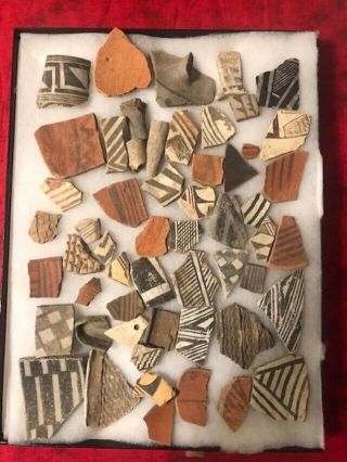 Ancient American Indian Pottery Shards Majority Found In Yellow Jacket,  Co