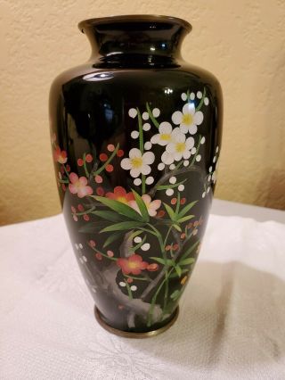 Lovely Vintage Japan Cloisonné Vase Black 7”t Magnolia Blossoms,  Bamboo Gorgeous