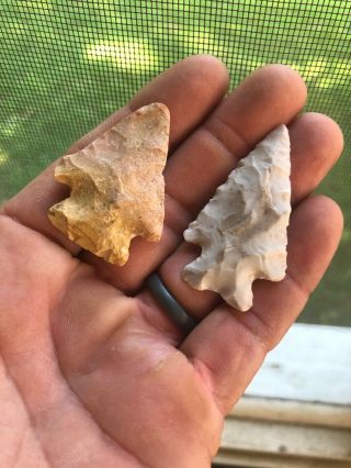 2 Missouri Bird Point Arrowheads Native American Artifacts