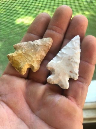2 Missouri Bird Point Arrowheads Native American Artifacts 2