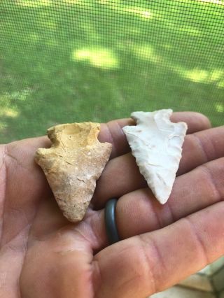 2 Missouri Bird Point Arrowheads Native American Artifacts 3
