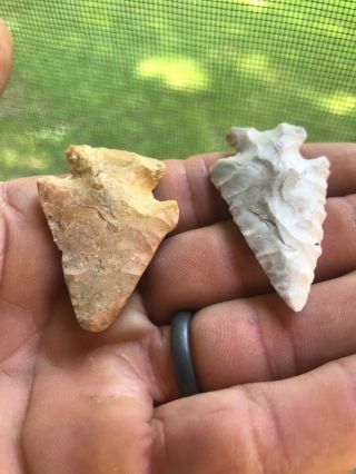 2 Missouri Bird Point Arrowheads Native American Artifacts 4