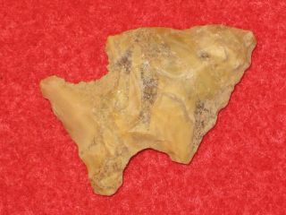 Authentic Native American Artifact Arrowhead Florida Bolen Plain Point A7