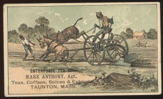 Victorian Trade Card,  Black Men & Balkymules,  Enterprise Tea Co.  Tauton,  Ma.