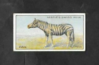 Nestle 1910 Scarce (animals) Type Card  Zebra - Wild Animals Serie 2