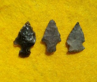 3 Small Oregon Arrowheads Authentic Indian Artifact Native American Arrowheads