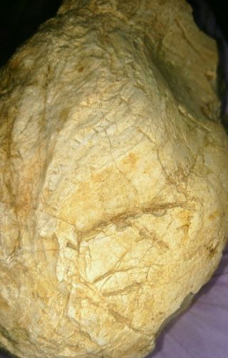 Ancient Native American Artifact Effigy Stone Head Face Missouri 2