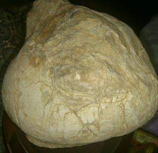 Ancient Native American Artifact Effigy Stone Head Face Missouri 4