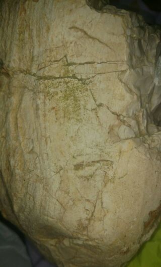 Ancient Native American Artifact Effigy Stone Head Face Missouri 5