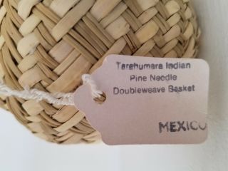 Handwoven Basket Tarahumara Indians,  Mexico,  Pine needle doubleweave 4.  5 inch 5