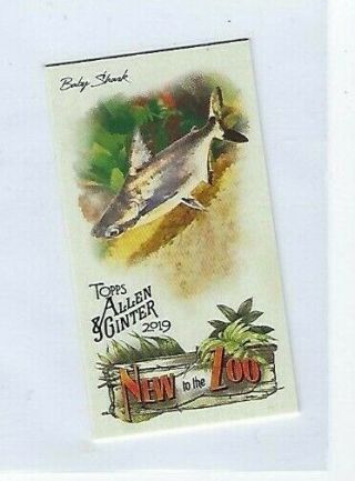 2019 Topps Allen & Ginter Mini " To The Zoo " Baby Shark Nm/mint Nttx - 10