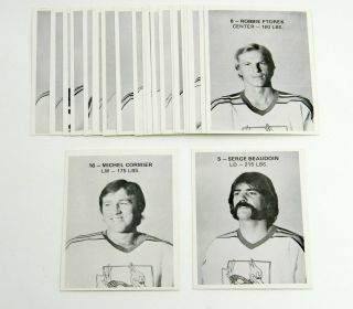 1975 - 76 W.  H.  A.  Phoenix Roadrunners Team Issued Set World Hockey Association