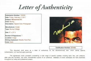 Muhammad Ali Signed Photo Portrait,  JSA Certification.  In Person Autograph 8x10 5