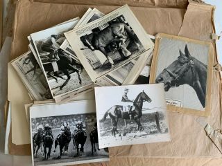 Archive Horse Racing Photos,  Triple Crown,  Seattle Slew,  Secretariat; 60,  Bin