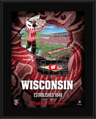Wisconsin Badgers 10.  5 " X 13 " 2018 Sublimated State Plaque
