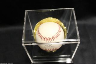 Gold Glove Baseball Holder Display Case DELUXE Acrylic BCW Regulation Size MLB 5