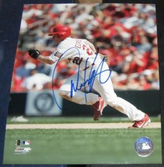 David Eckstein St Louis Cardinals Signed Photo File 8x10 Autographed Baseball