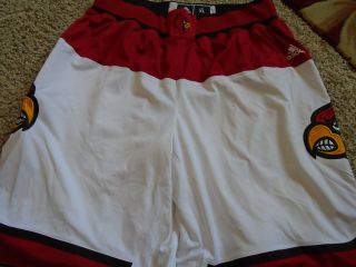 Louisville Cardinals Basketball Terry Rozier Adidas Game Shorts 14/15