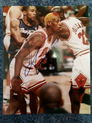 Rare Nba Hof Chicago Bull Dennis Rodman Signed 8x10 Photo