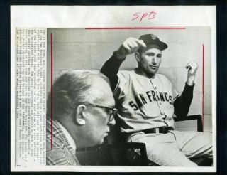 Al Dark Denies Racism 1964 San Francisco Giants Vintage News Wire Photo