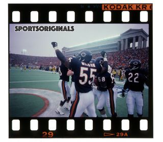 35mm Kodachrome Slide - Chicago Bears Celebrate - 1985 Nfc Championship
