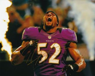 Ray Lewis Baltimore Ravens Signed Autograph 8x10 Photo