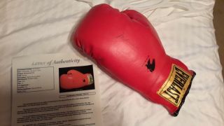 Muhammad Ali Signed Auto Jsa Loa Everlast Boxing Glove (letter Of Authenticity)