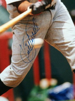 KIRBY PUCKETT Signed Autographed 16X20 matted photo 2