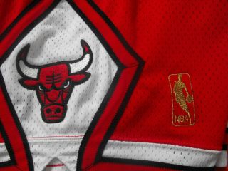 Chicago Bulls Champion Shorts Game Issued Rodman Jordan Pro Cut Pippen NBA James 5