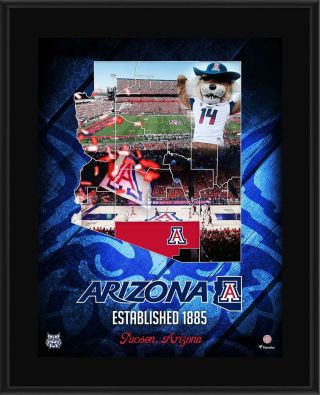 Arizona Wildcats 10.  5 " X 13 " 2018 Sublimated State Plaque