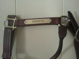 Zenyatta Halter - Horse Of The Year 2010