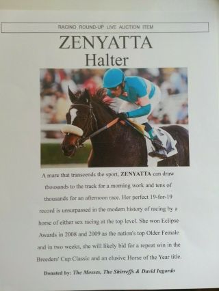 Zenyatta Halter - Horse of the Year 2010 3