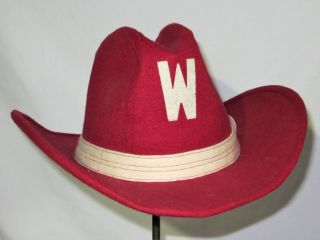 Vintage University Of Wisconsin Badgers Cowboy Hat - Size 7 - 7 1/8 Madison - Rare