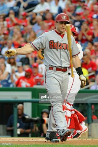 Paul Goldschmidt 2015 Game Cracked Bat Cardinals Photomatched 5