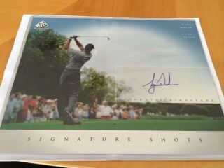 2004 Sp Signature Golf Ud Tiger Woods Auto Shots 8x10 Photo