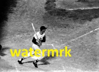1954 Ted Williams Boston Red Sox Al Hof 8x10 Photo Vv^ &