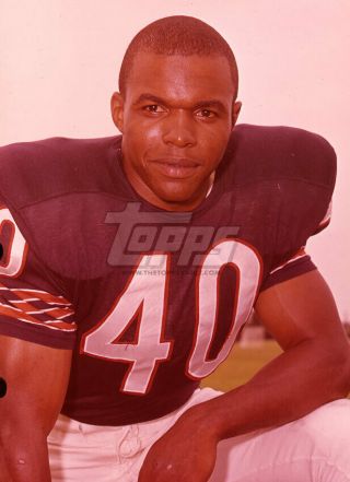 1965 Topps Football Color Negative.  Gale Sayers Bears