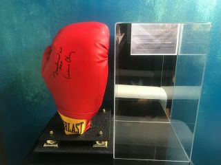 Muhammad Ali Aka Cassius Clay Signed Everlast Boxing Glove Auto Autograph W