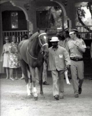 Secretariat & Eddie Sweat - 1973 8x10 Belmont Stakes Horse Racing Photo