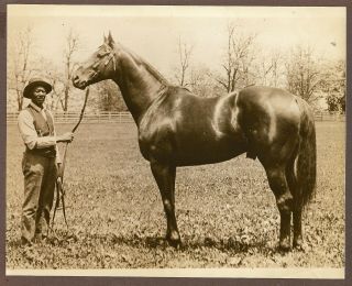 1920s Press Photo Champion Race Horse Man O 