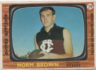 Scanlens Vfl 1967 Norm Brown Fitzroy 29