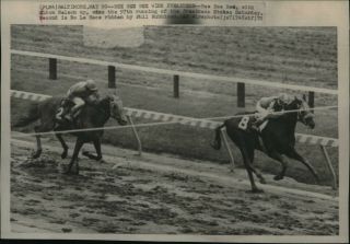 1972 Press Photo Race Horse Bee Bee Bee Wins The Preakness Stakes